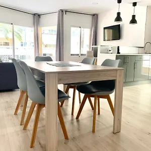 Palmeras Palma Nova (Mallorca)